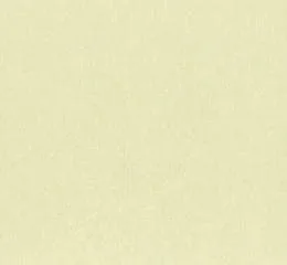 77850 - marburg Basic